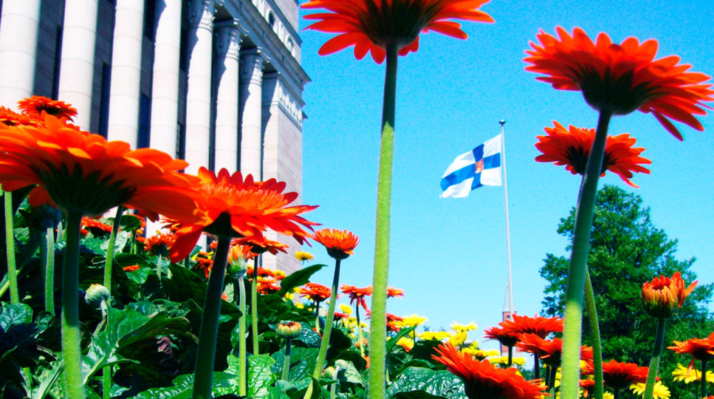 Orange flowers, the Finnish Parliament house and a Finnish flag flying in the background. 