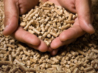 Two hands grabbing a handful of wooden pellets from a big pile.