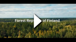 A forest landscape with the words "Forest Republic of Finland" on top and a video play symbol.