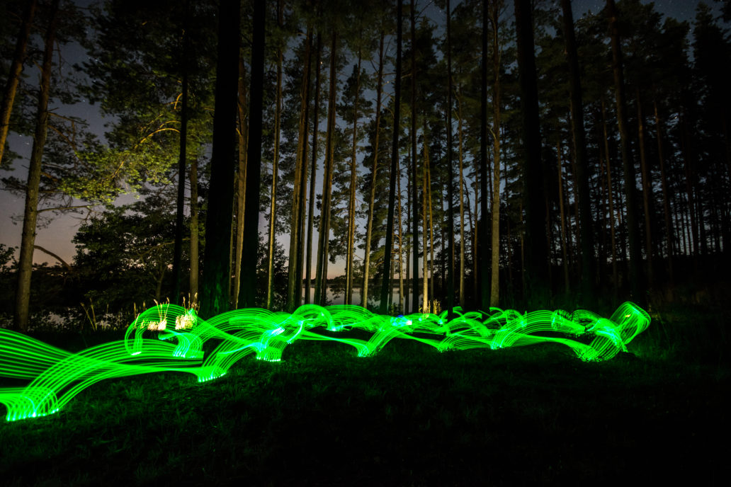 Green lights in a forest.